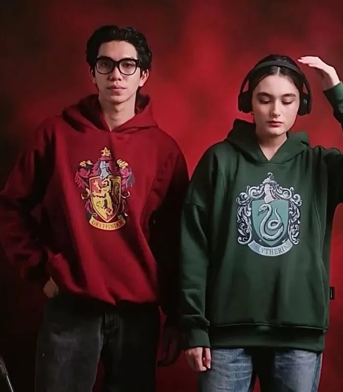 Harry Potter Hogwarts All Houses Boxy Hoodie